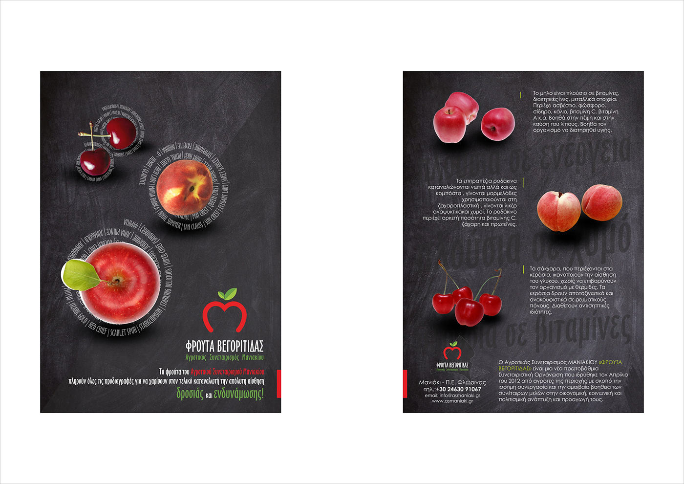 a5 flyer brochure flyer print design 