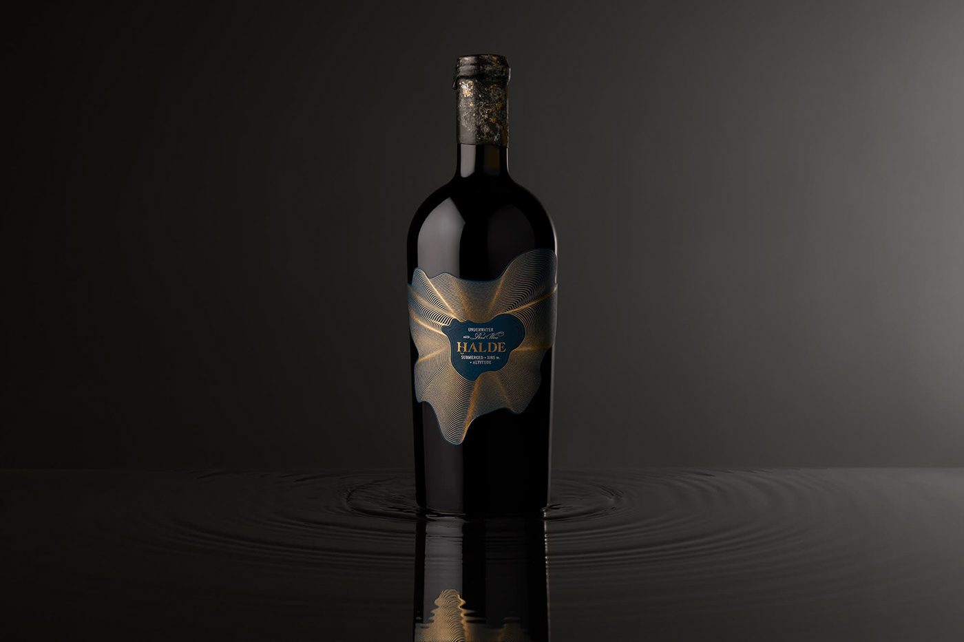 alcohol bottle branding  drink ILLUSTRATION  Label marca Packaging wine