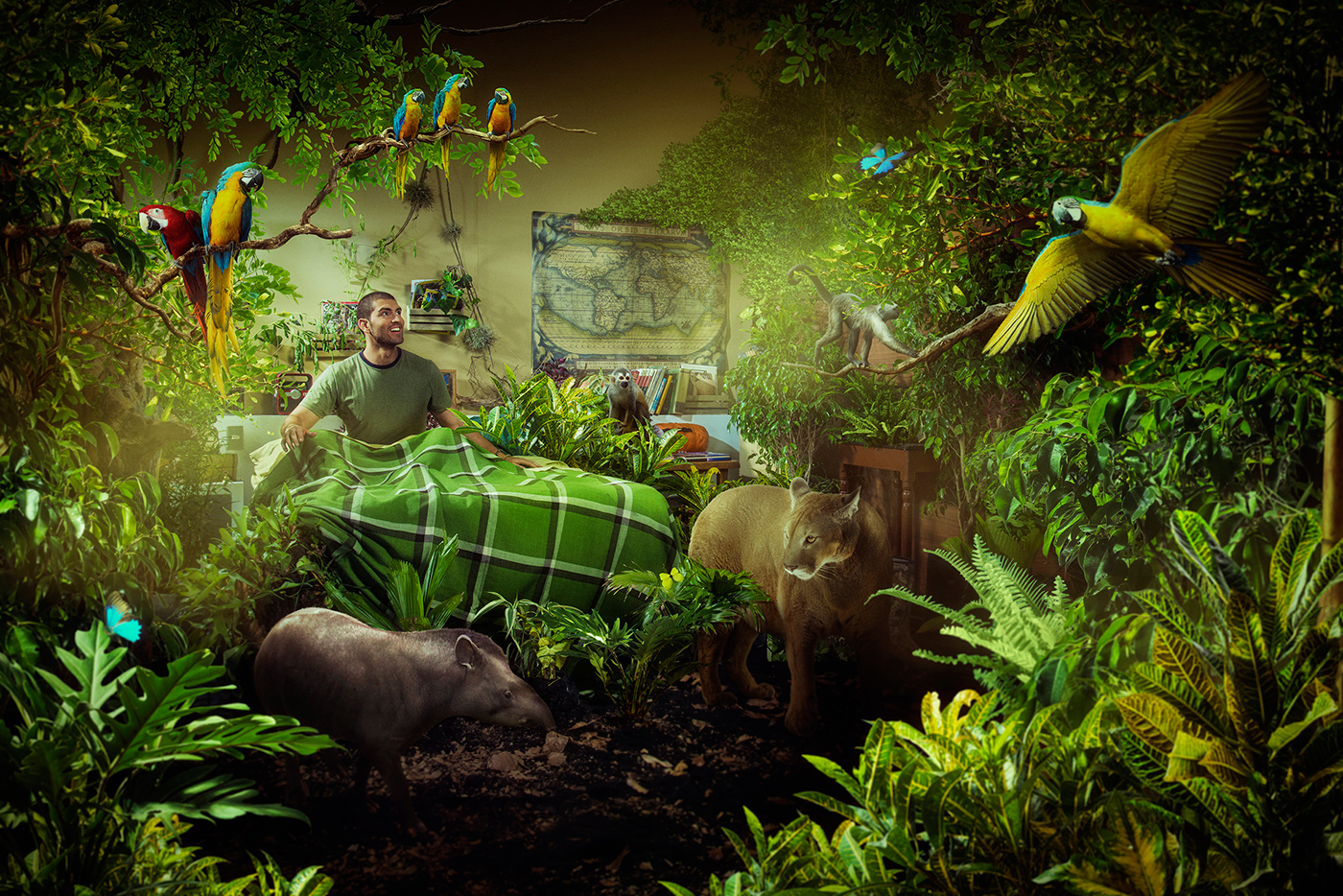 Adobe Portfolio chaide  ecuador  dreams   Sueños selva Galapagos Cama bed