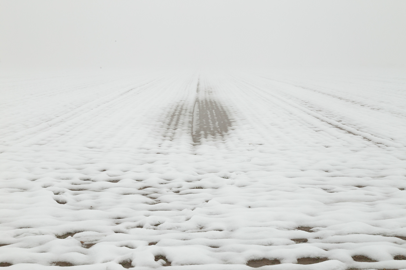 snowy field with diminishing perspective toward nowhere