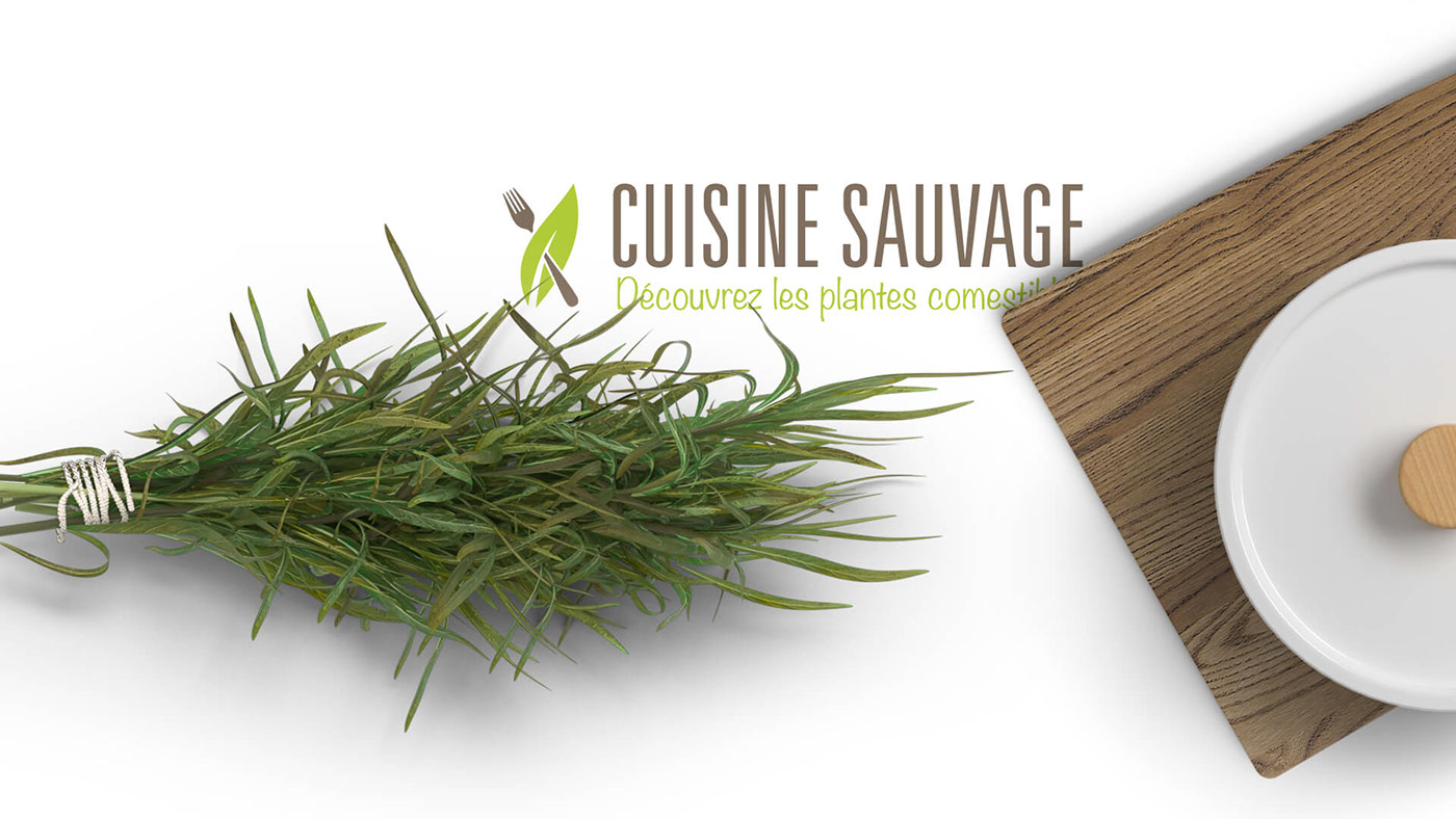 cuisine sauvage edible recette plante Cueillette wood forêt Plantain