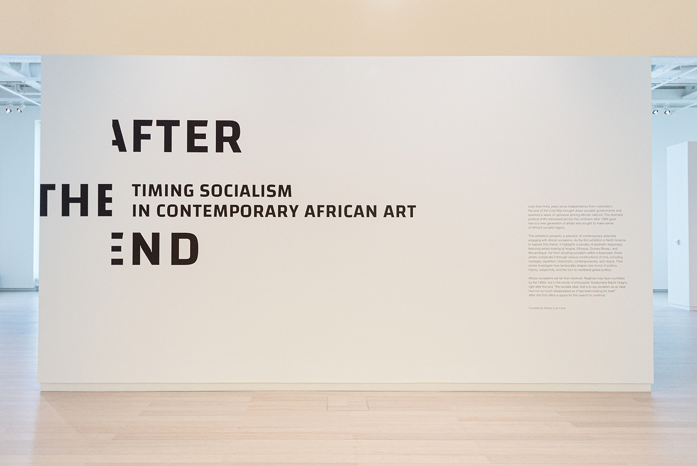 After the End African Art contemporary art Exhibition Design  Columbia University wallach art gallery