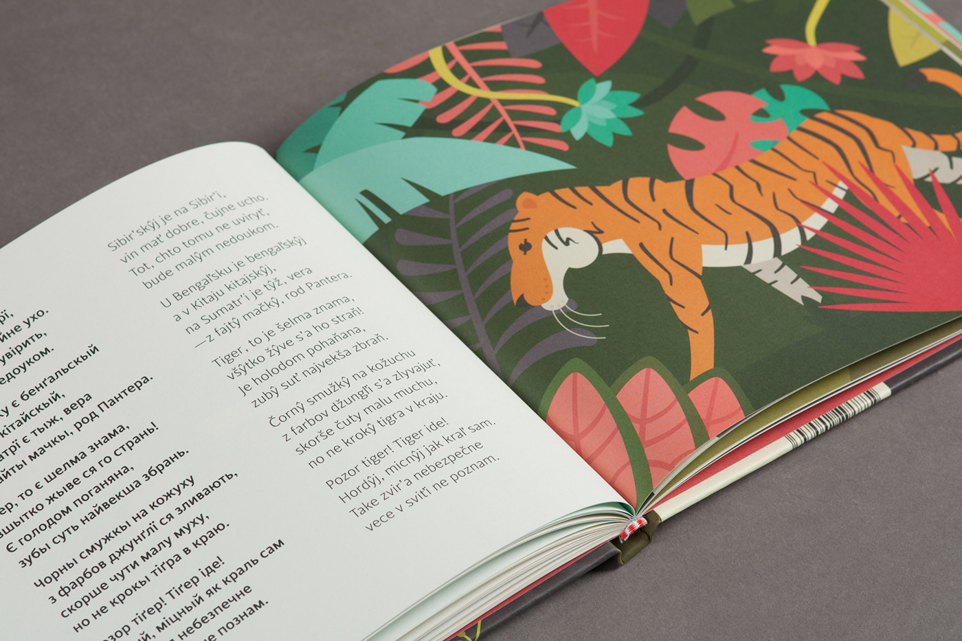 book design ILLUSTRATION  typography   children rusyn