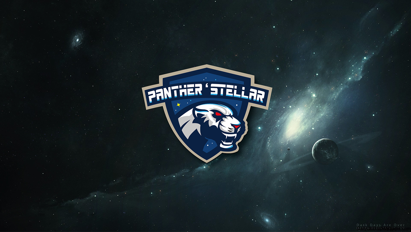 Space  panther flat design Nantes BDE interstellar stars étoiles esport panther'stellar