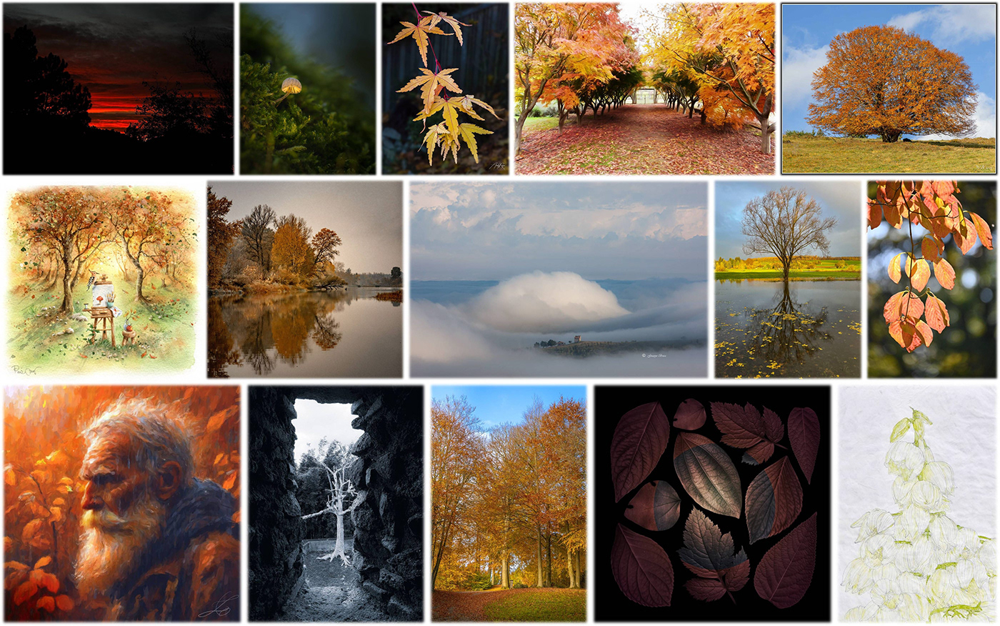 autumn Photography  artists Nature city friendly seasons colors painting   Drawing 