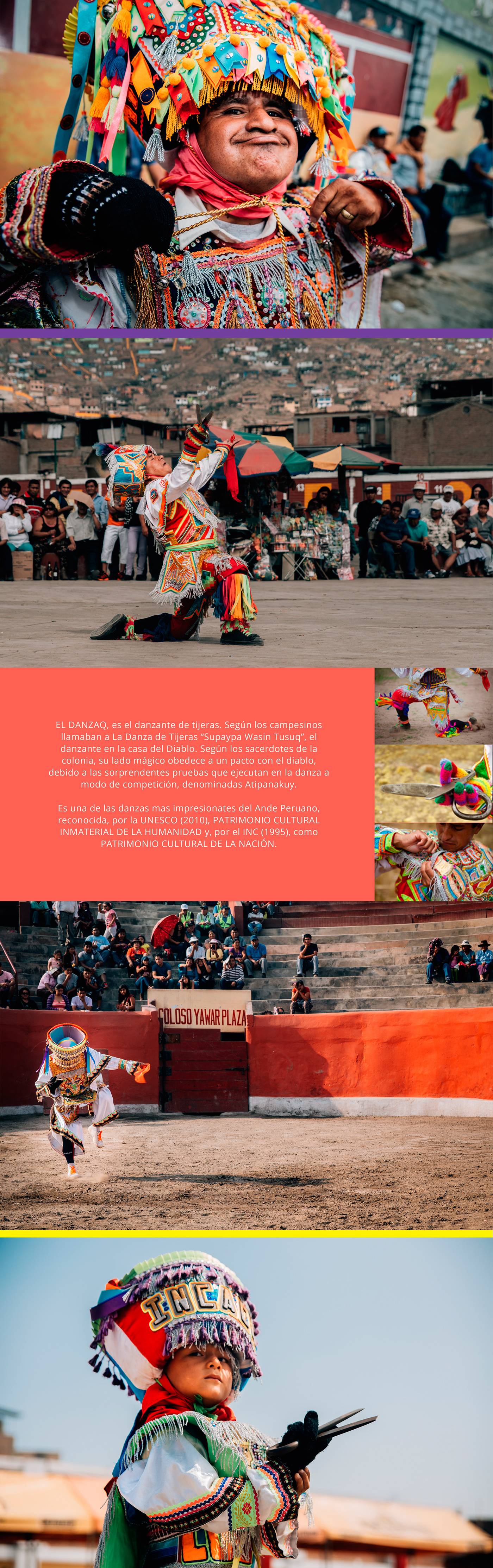 arttoys ILLUSTRATION  peruvian danza digitalart design peru art arttoy graphic