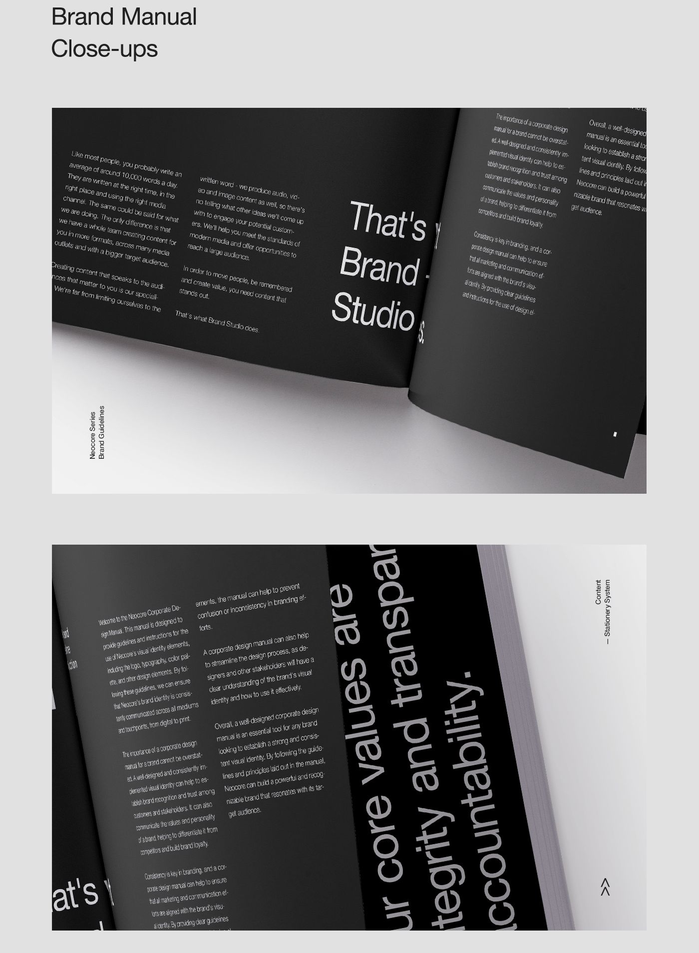 See some close ups and screenshots of the real text brand guideline brochure