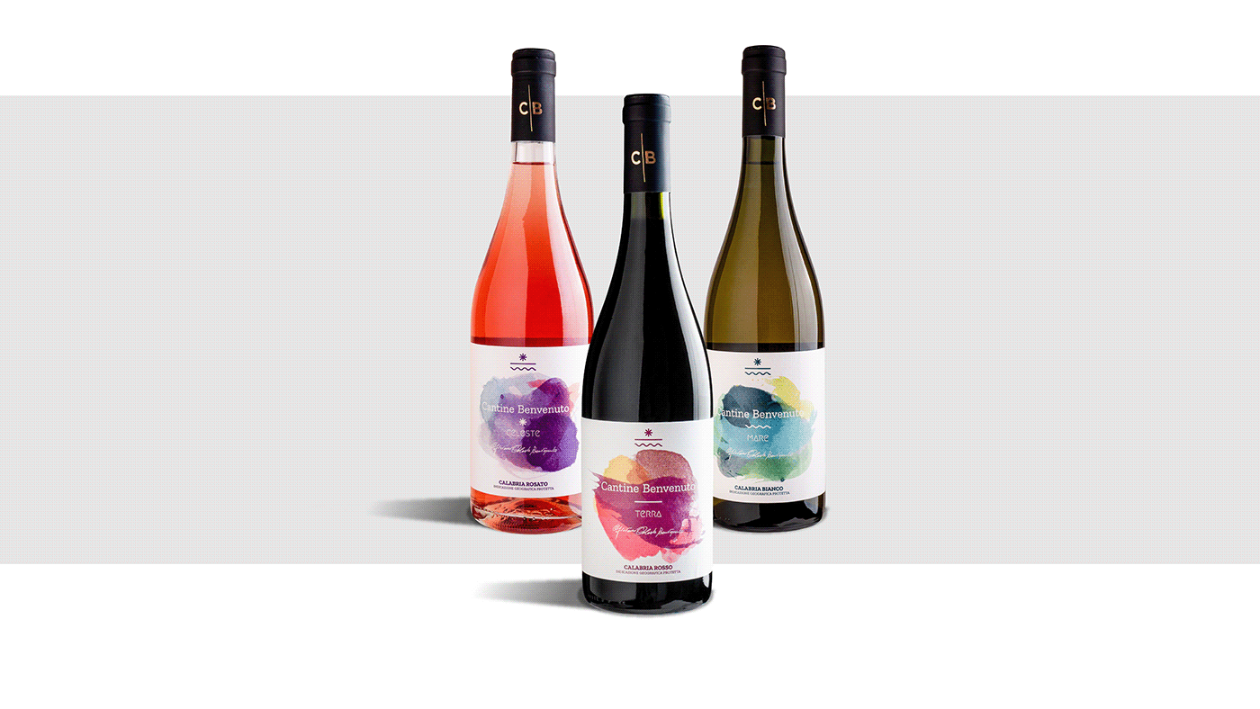 corporate cosenza design graphic Label logo Photography  wine