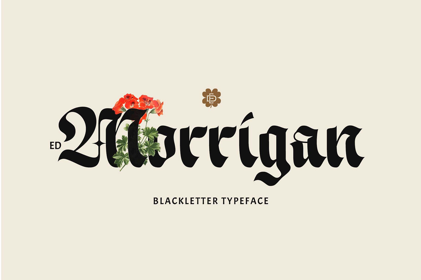 Blackletter Calligraphy   font gothic logo type Typeface typography  