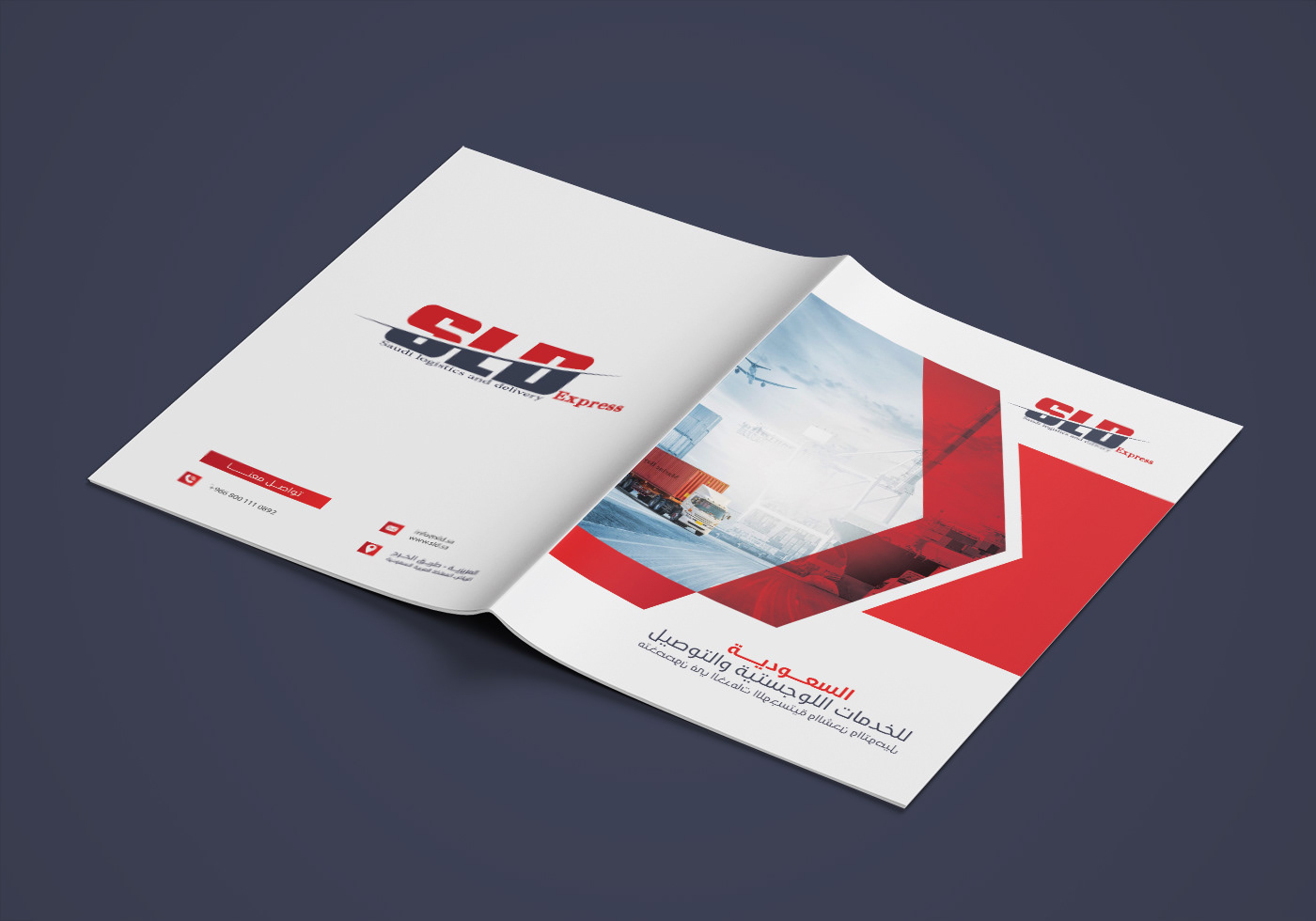 Advertising  Brand Design brand identity brochure company profile design flyer logo Logo Design profile