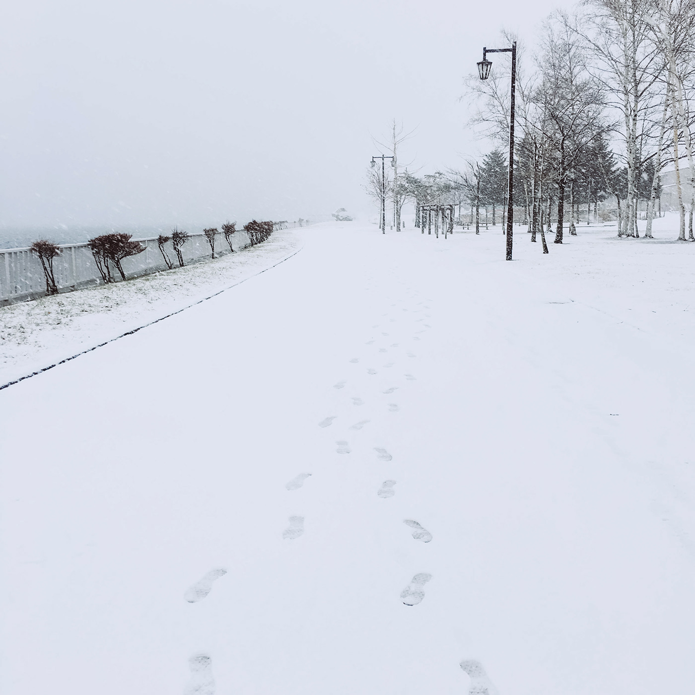 japan Hokkaido 摄影 大雪 建筑
