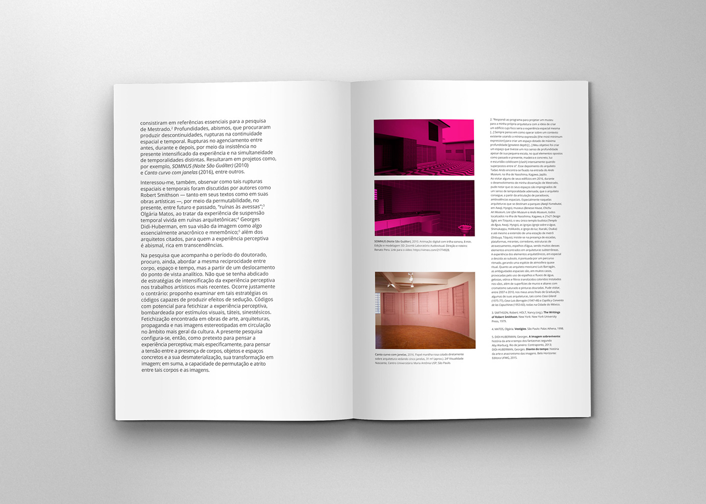 arte contemporanea artist book cover design design Livro de artista PHD BOOK  Renato Pera