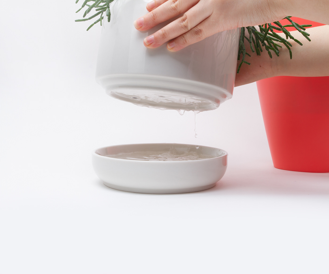 pot Plant Interior homedeco ceramic Pottery