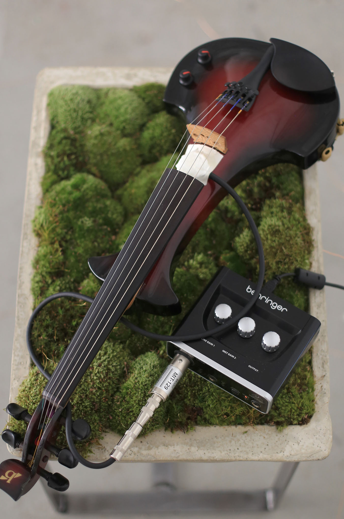 Arduino programming  sound art installation Violin Performance plants moss interactive