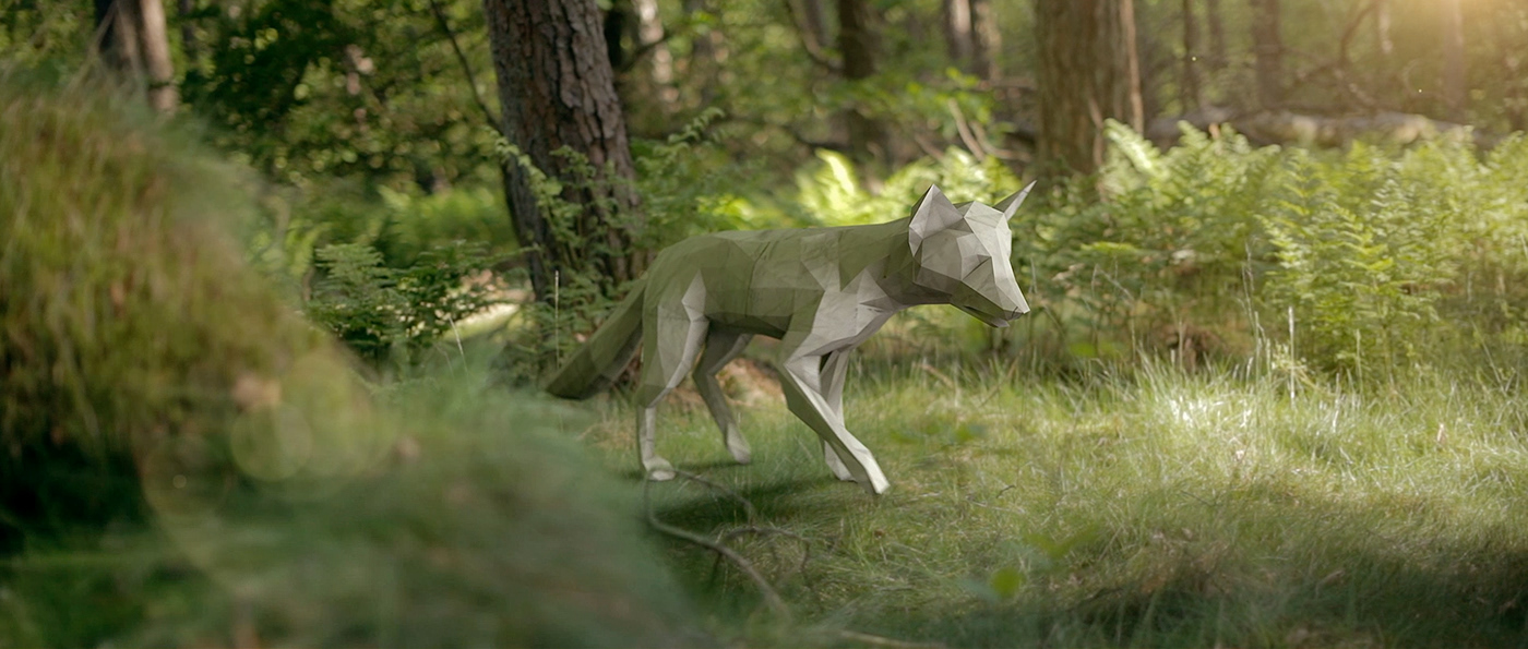 Diorama 3D animals cinema4d compositing forest 3D Tracking