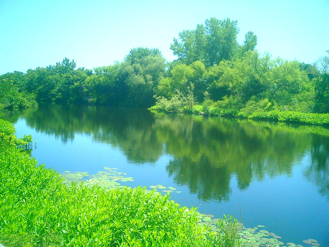 Charles River in Watertown, MA