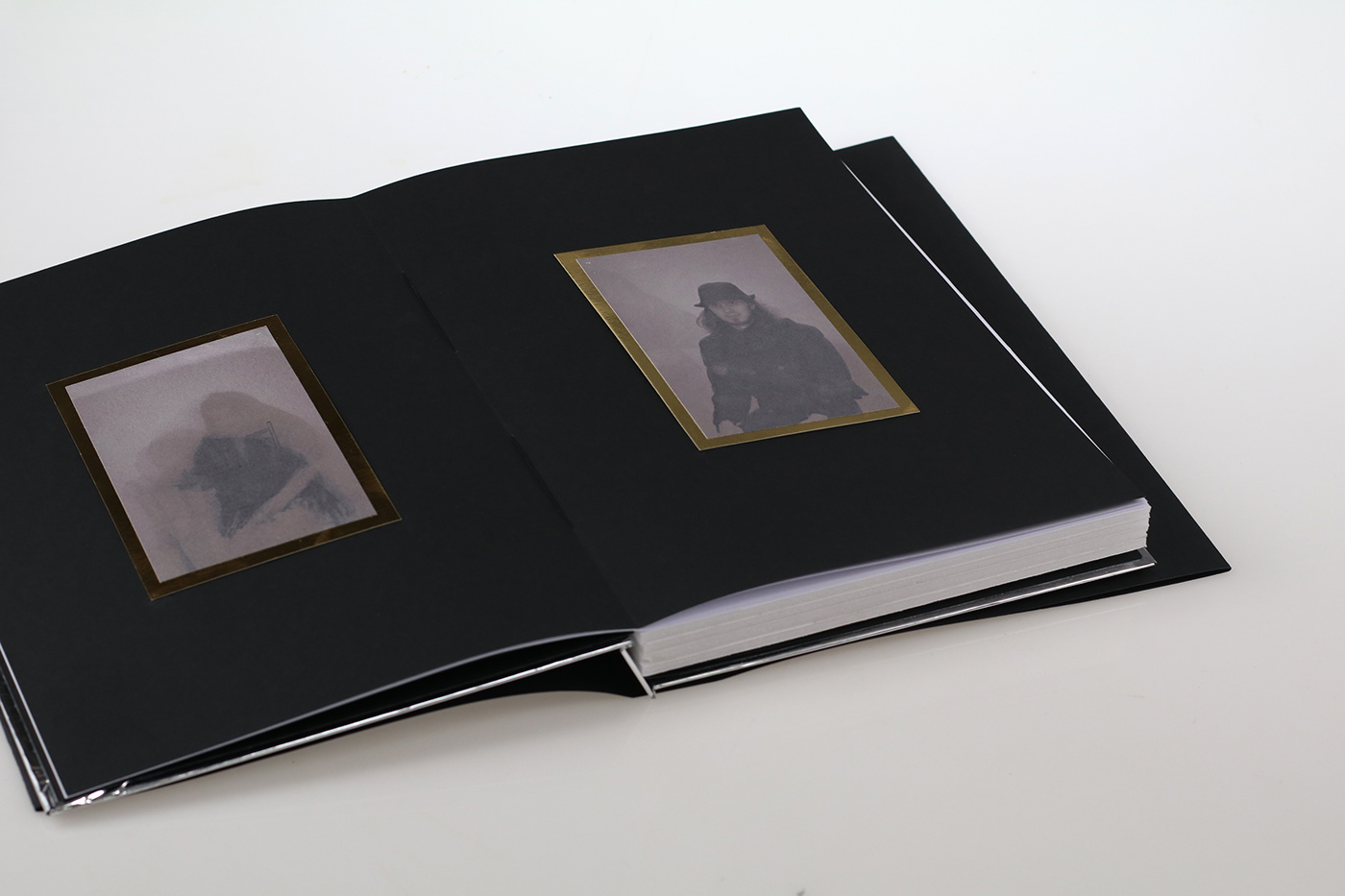 book daguerreotype