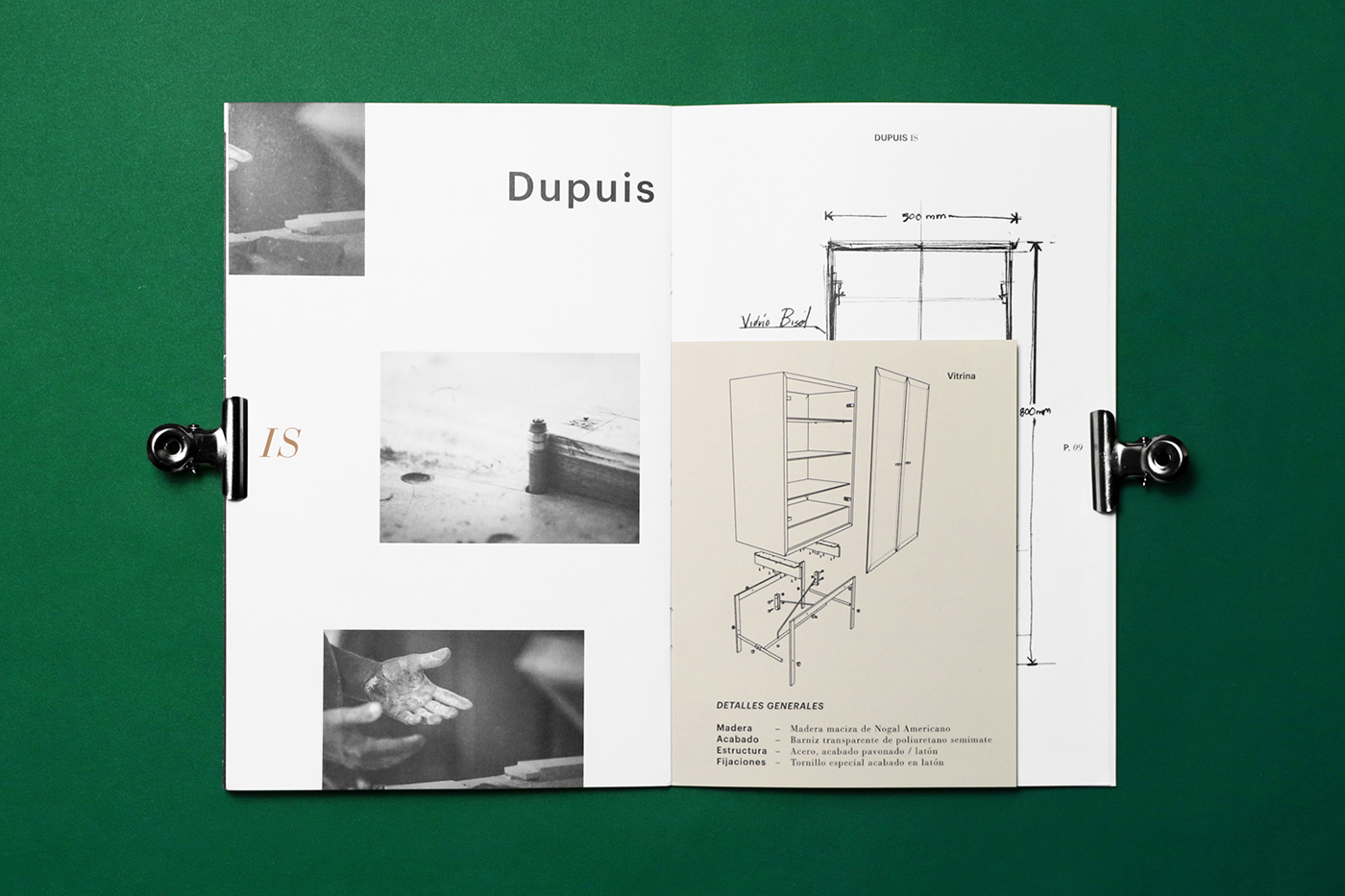 editorial catalog brochure multiple formats mexico DuPuis savvy