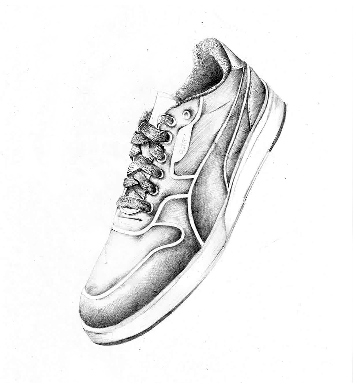 puma sneakers sports footwear pencil Graphic Tshirts animals sneakerheads drawings ILLUSTRATION 