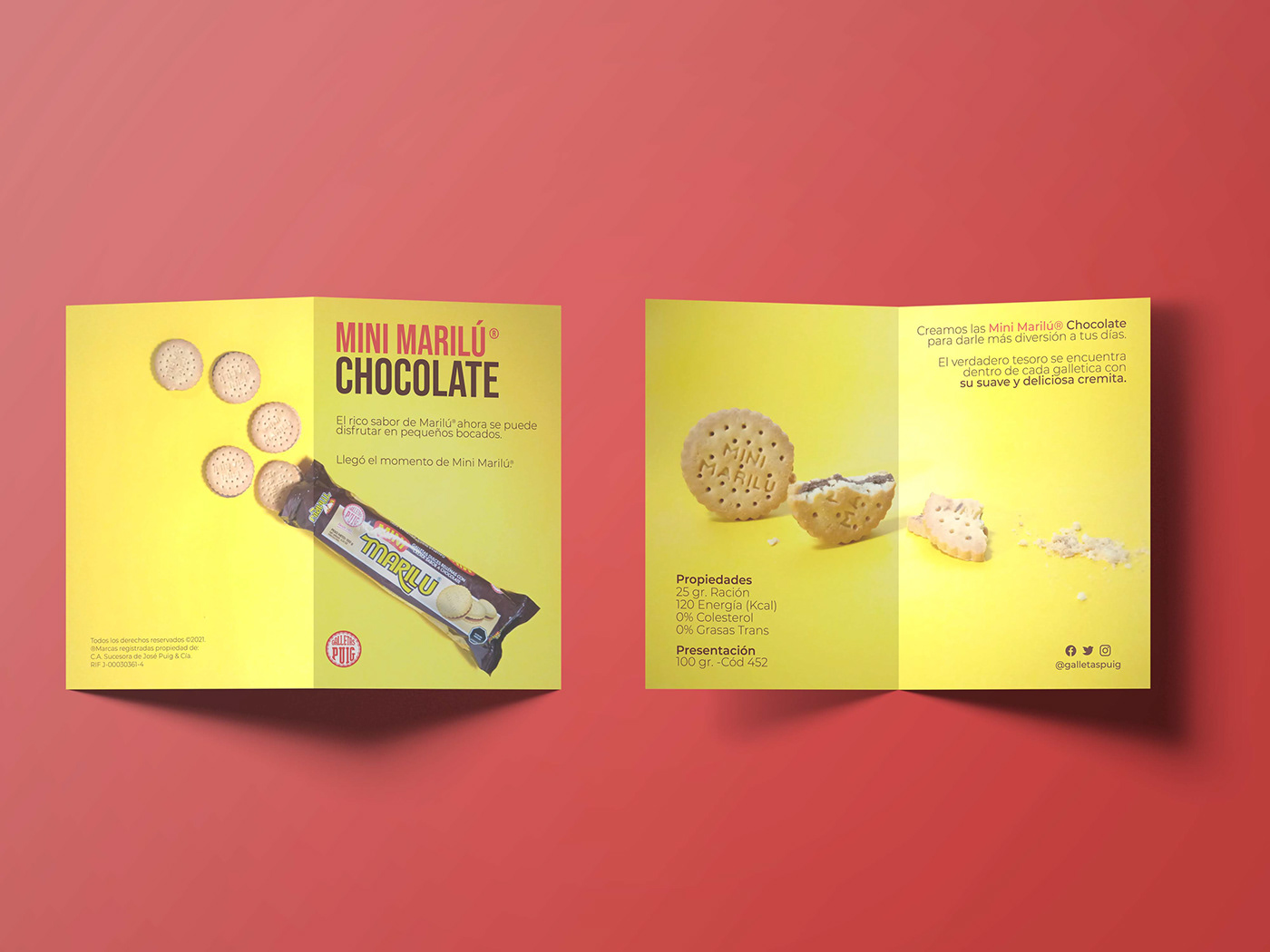 diseño gráfico galletas folleto publicidad marketing   designer editorial Photography  Nature gerdiseña