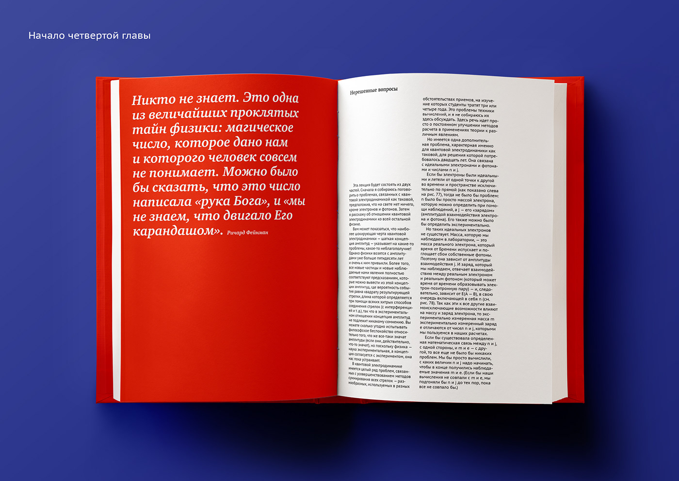 book design graphic design  inforgraphics quantum physics