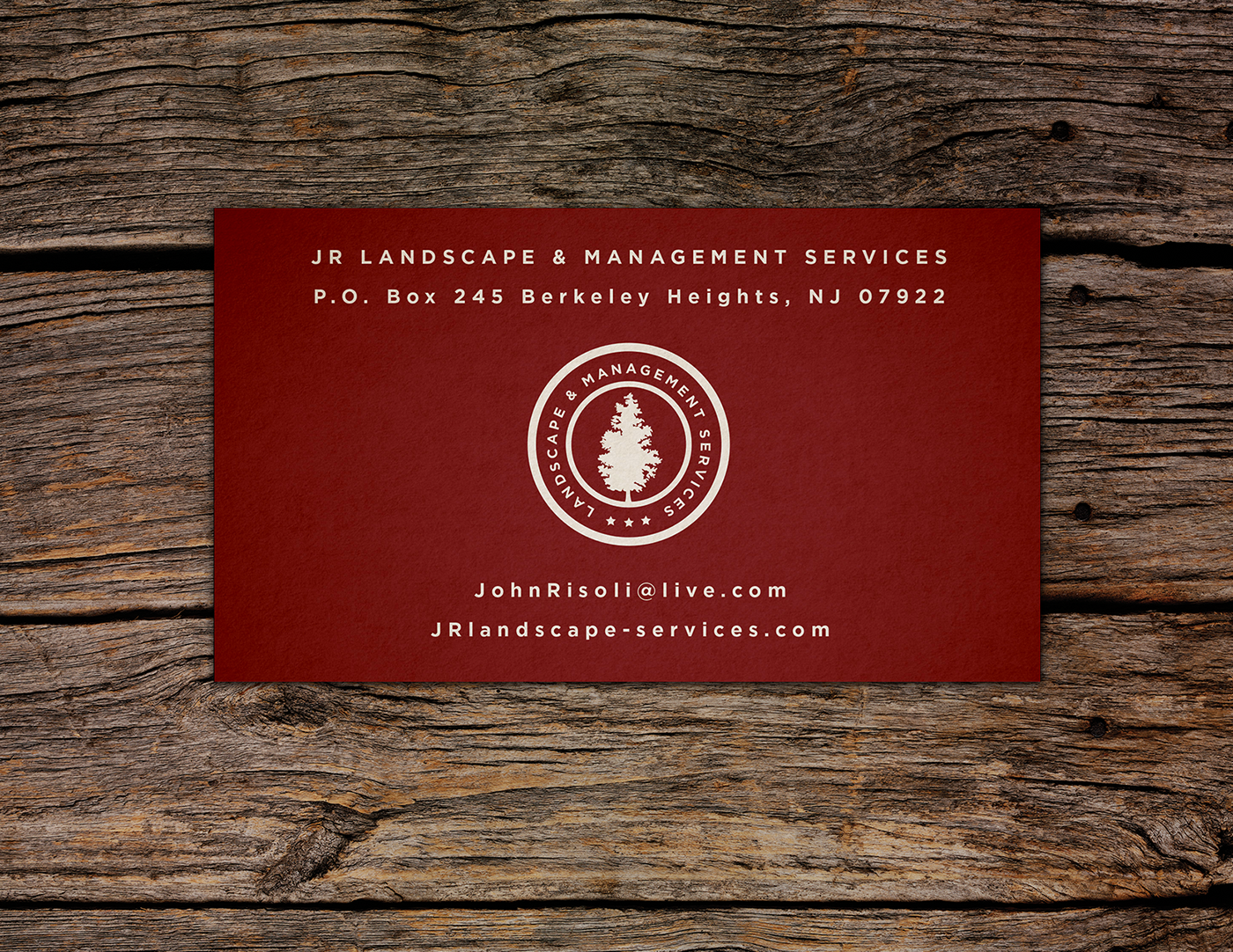 Business card design Website Design branding  Logo Design