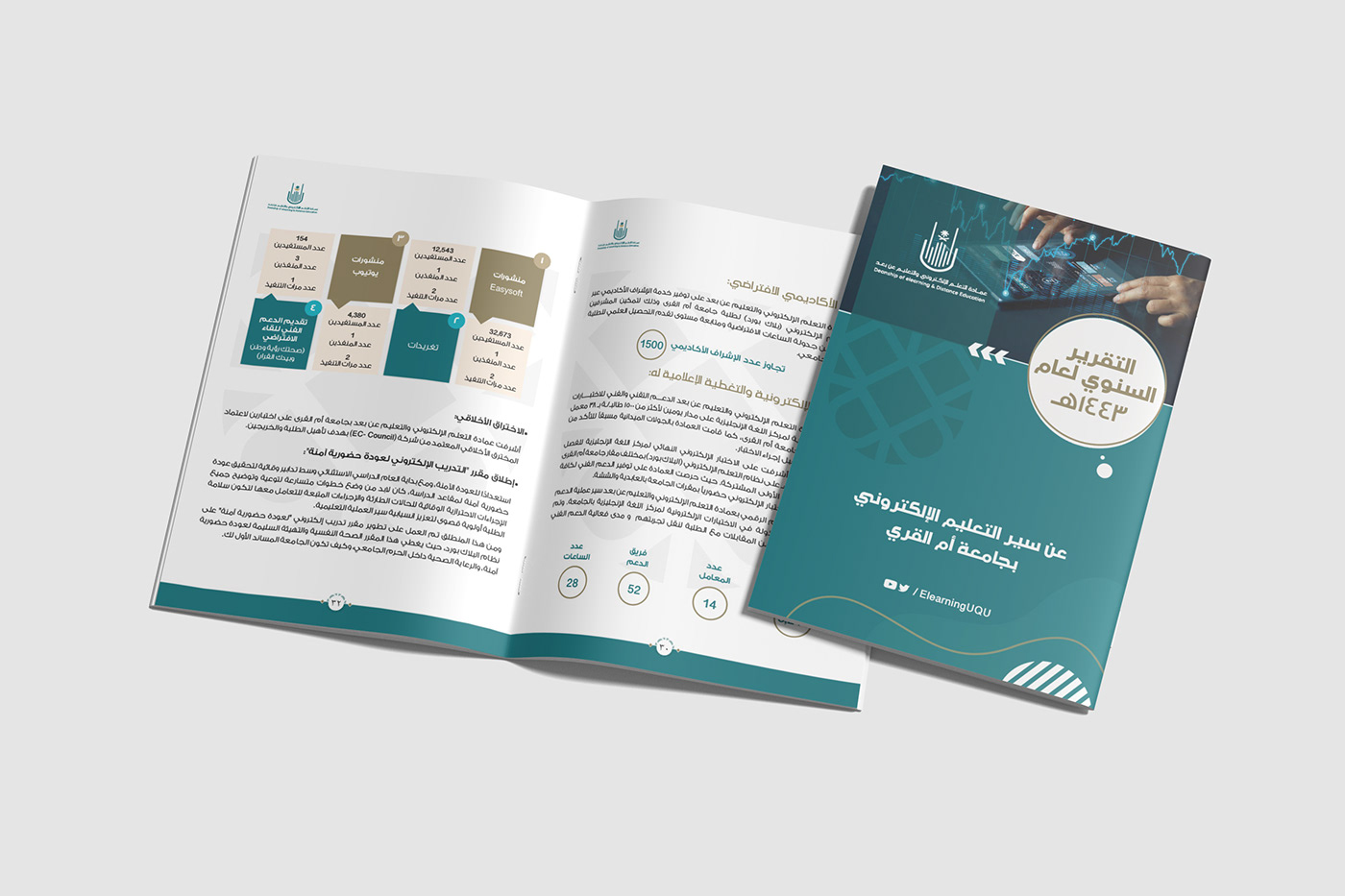 design brochure print magazine report Layout infographic information design data visualization