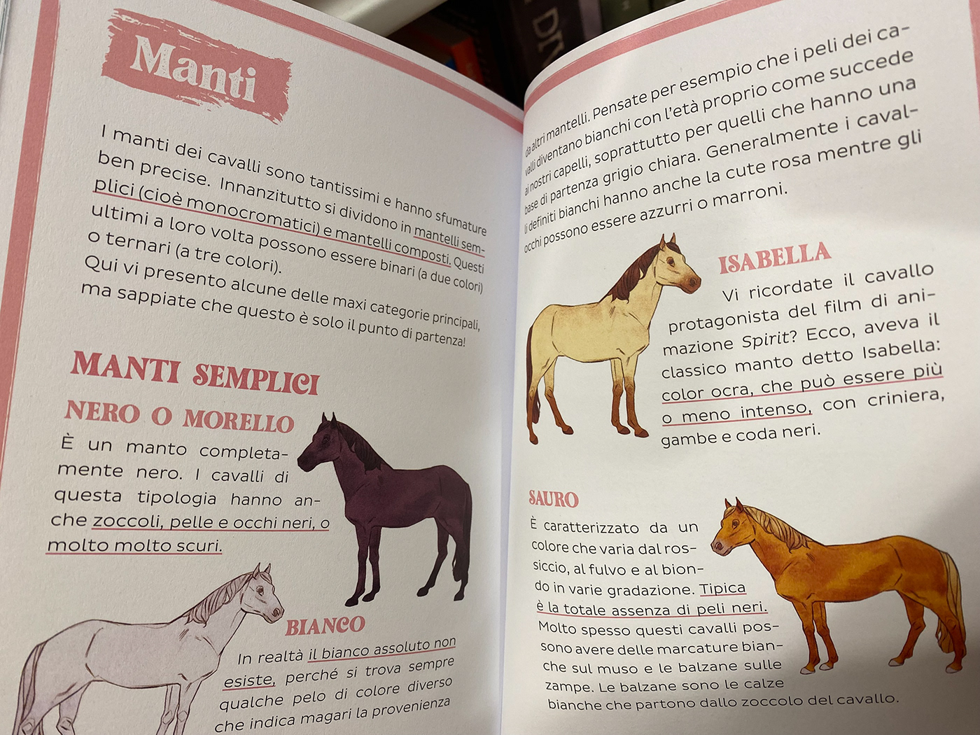 animali book cereseto childrensbook Equitazione horses ILLUSTRATION  illustrazione INFLUENCER nicole