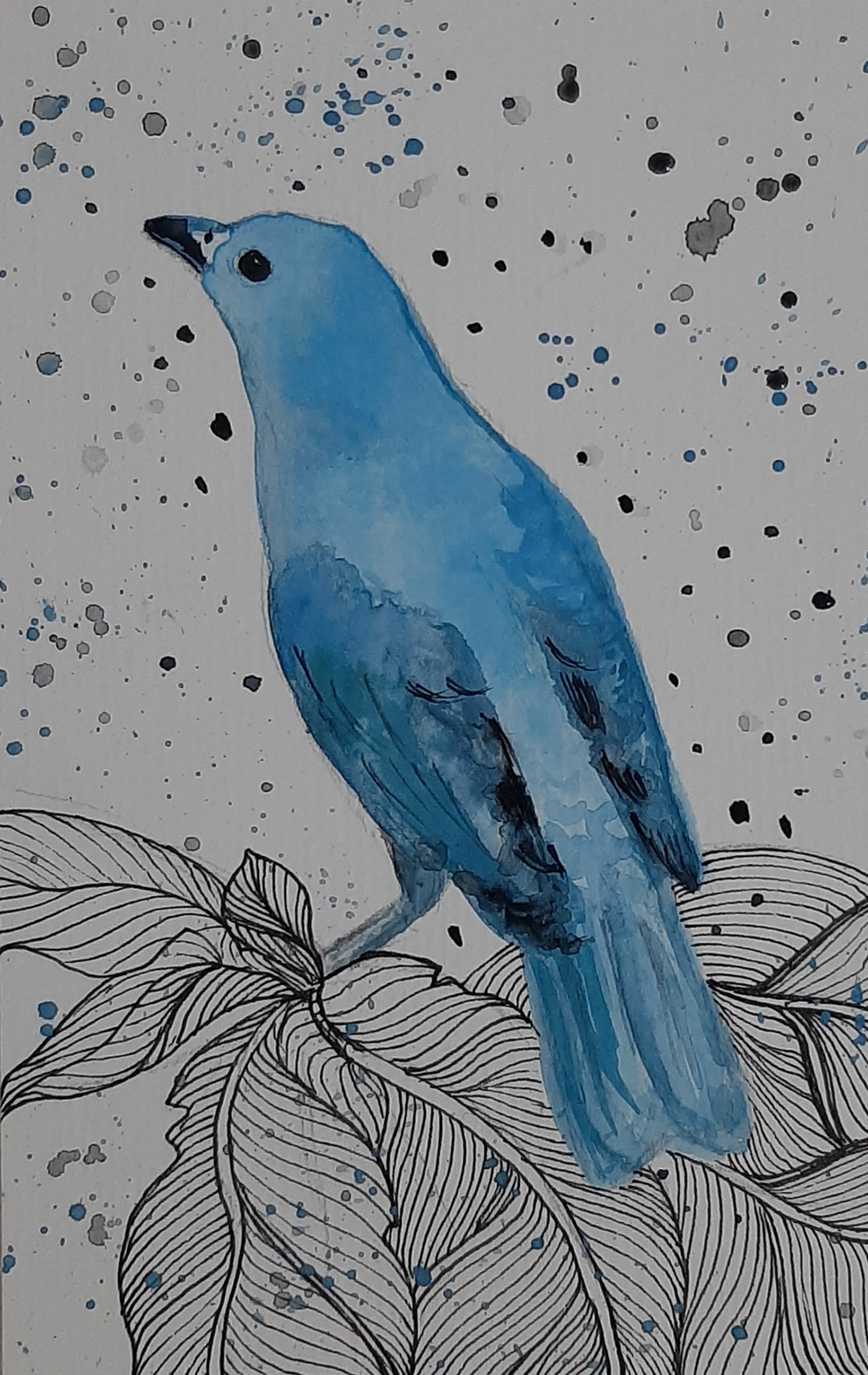 bird pássaros Ilustração desenho aquarela watercolor Nature ilutsration nanquim