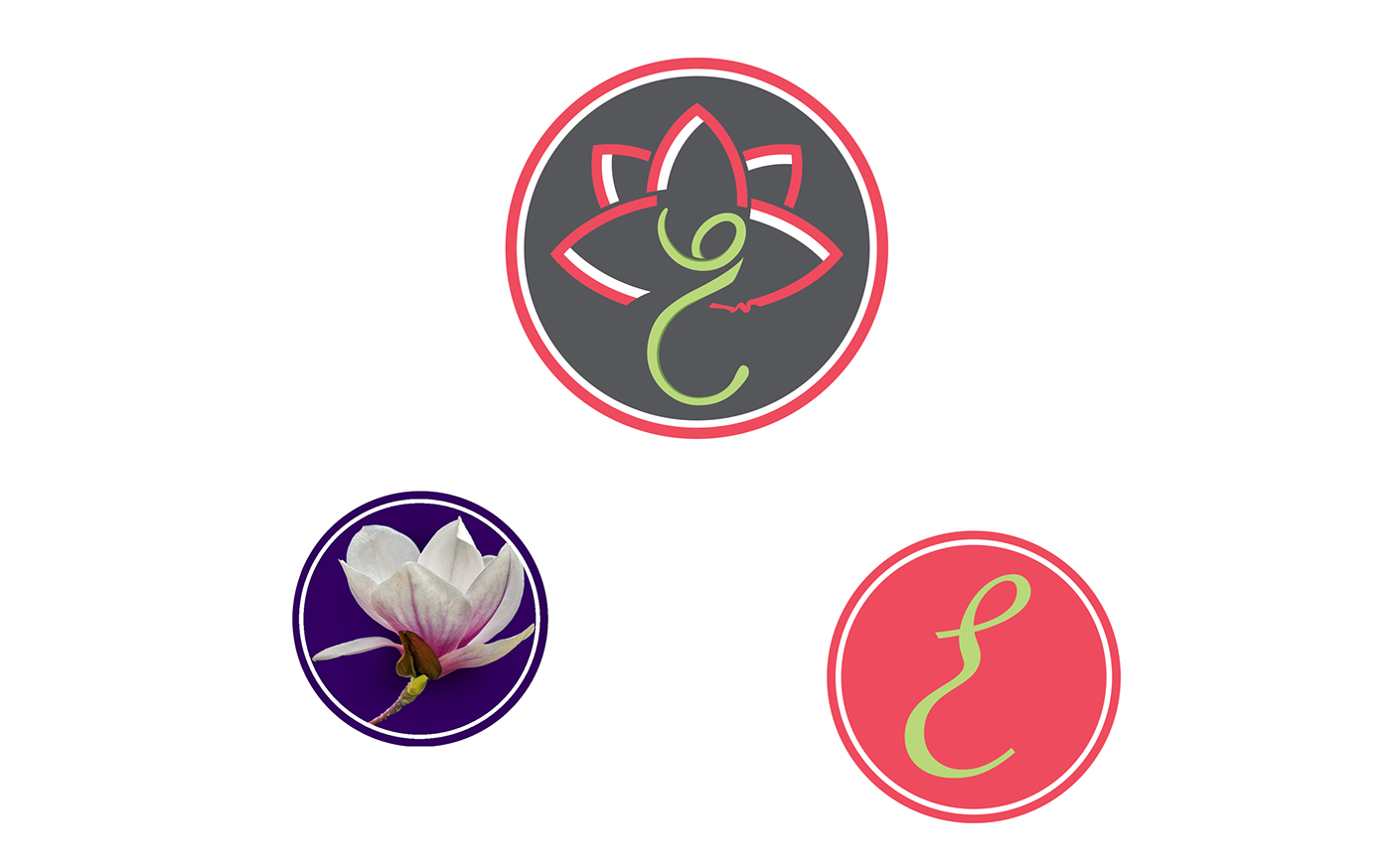 Shows the progression of the logo from a magnolia flower and letter e.