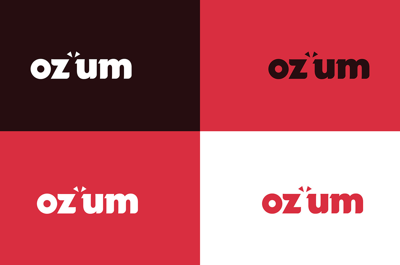 brand identity branding  digital marketing Logo Design ozum Social media post