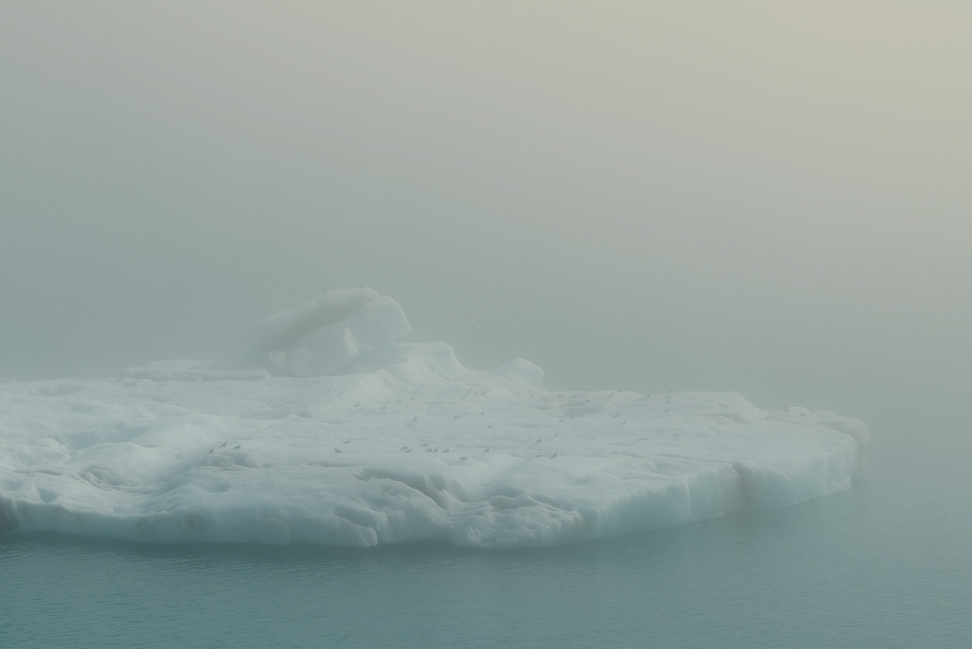 Arctic atmosphere birds fog ice iceberg iceland light Moody water