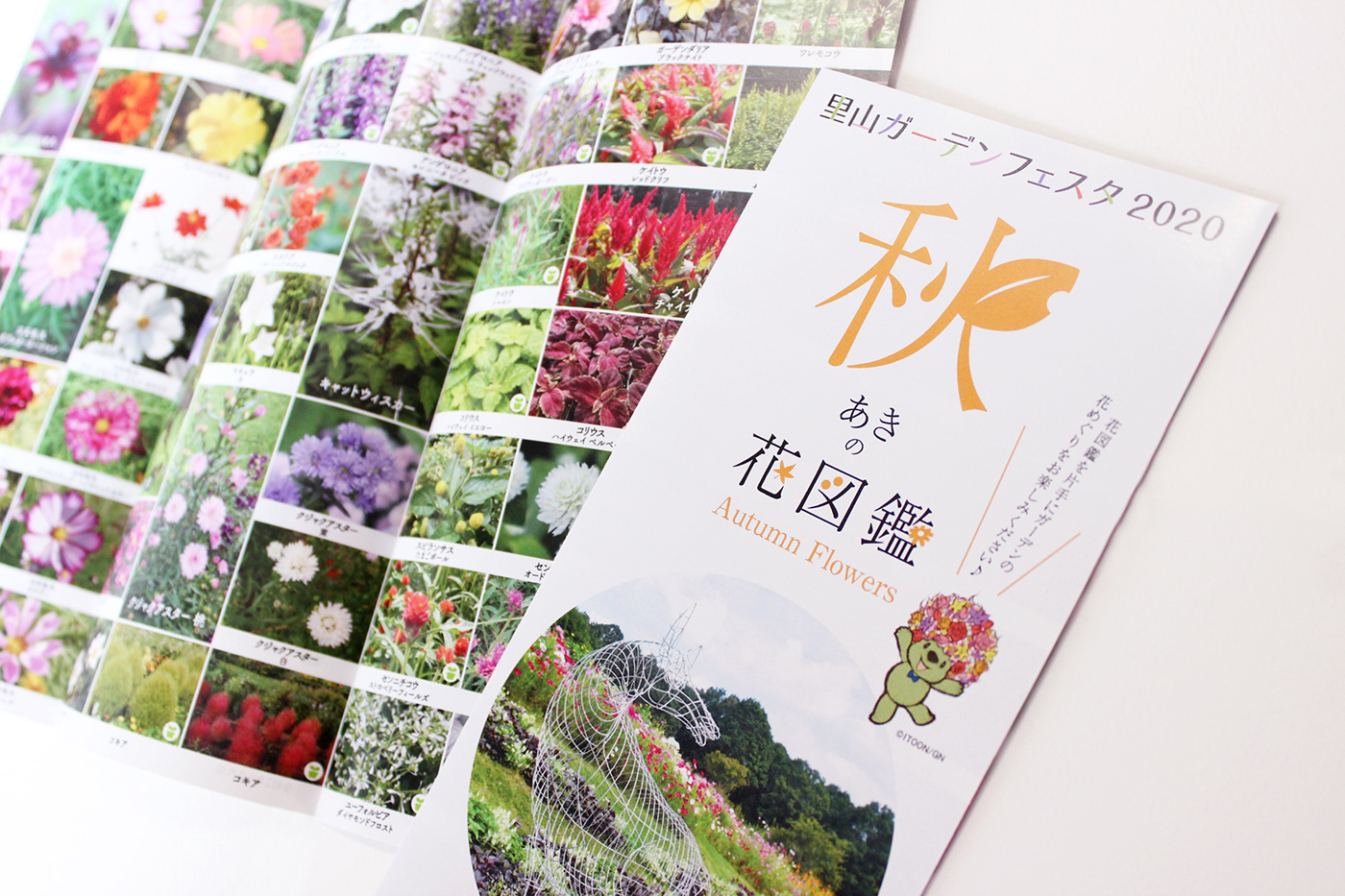 design flower graphic design  leaflet spring イベント デザイン リーフレット 花図鑑 里山ガーデン