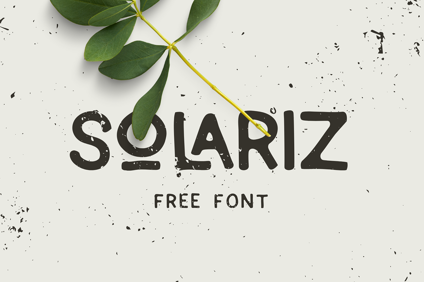 font Typeface retro font groovy font Free font freebies