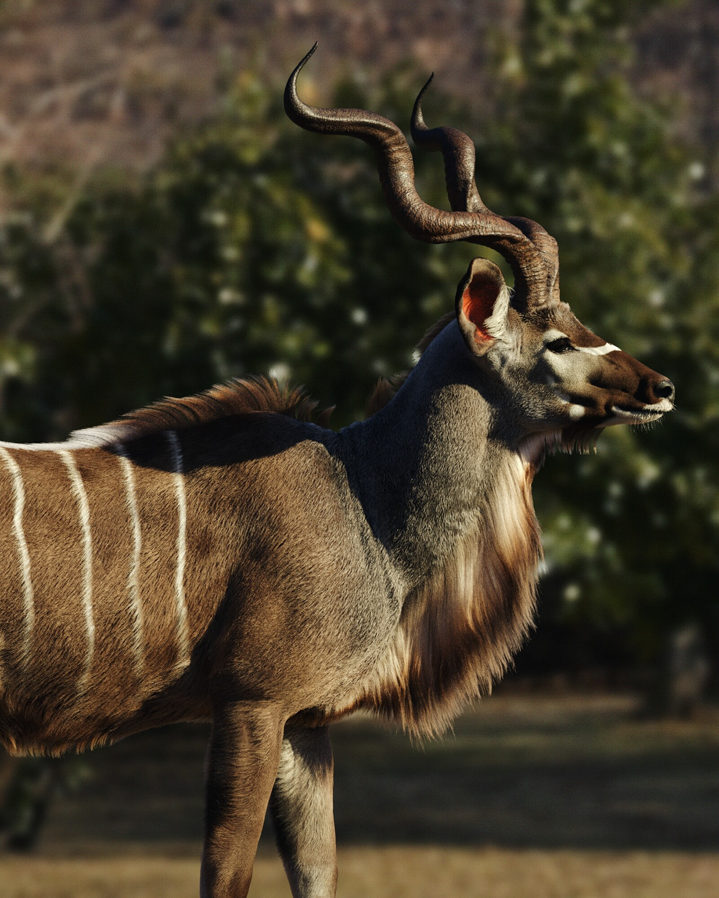 3D 3D animal CG Maya realistic Render