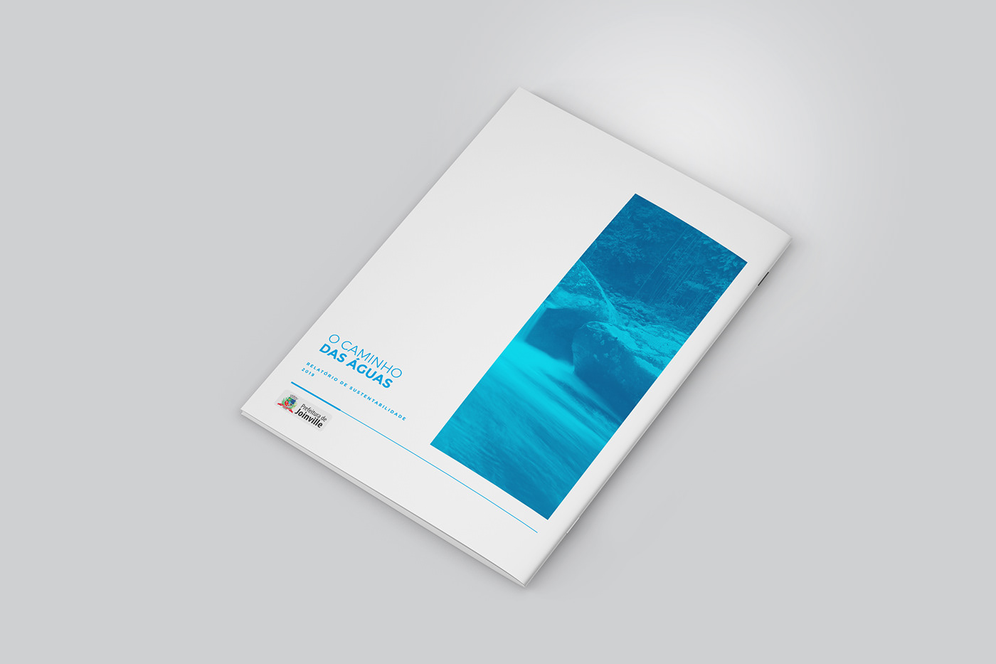 brochure brochure design editorial design 