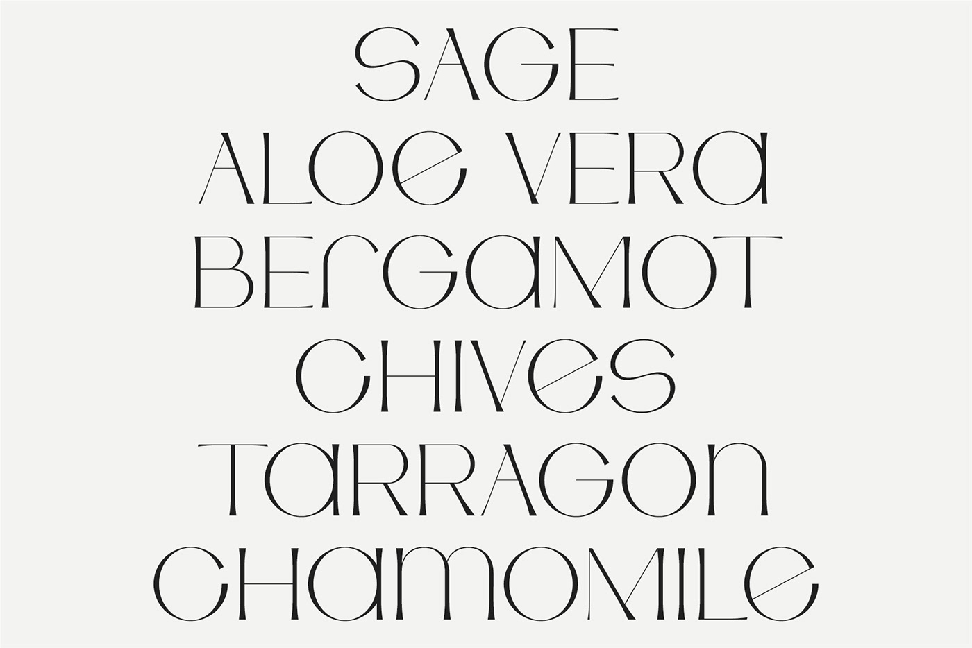 clean contemporary font Creative typography Custom fonts display font Free font studio aurora type design unique design