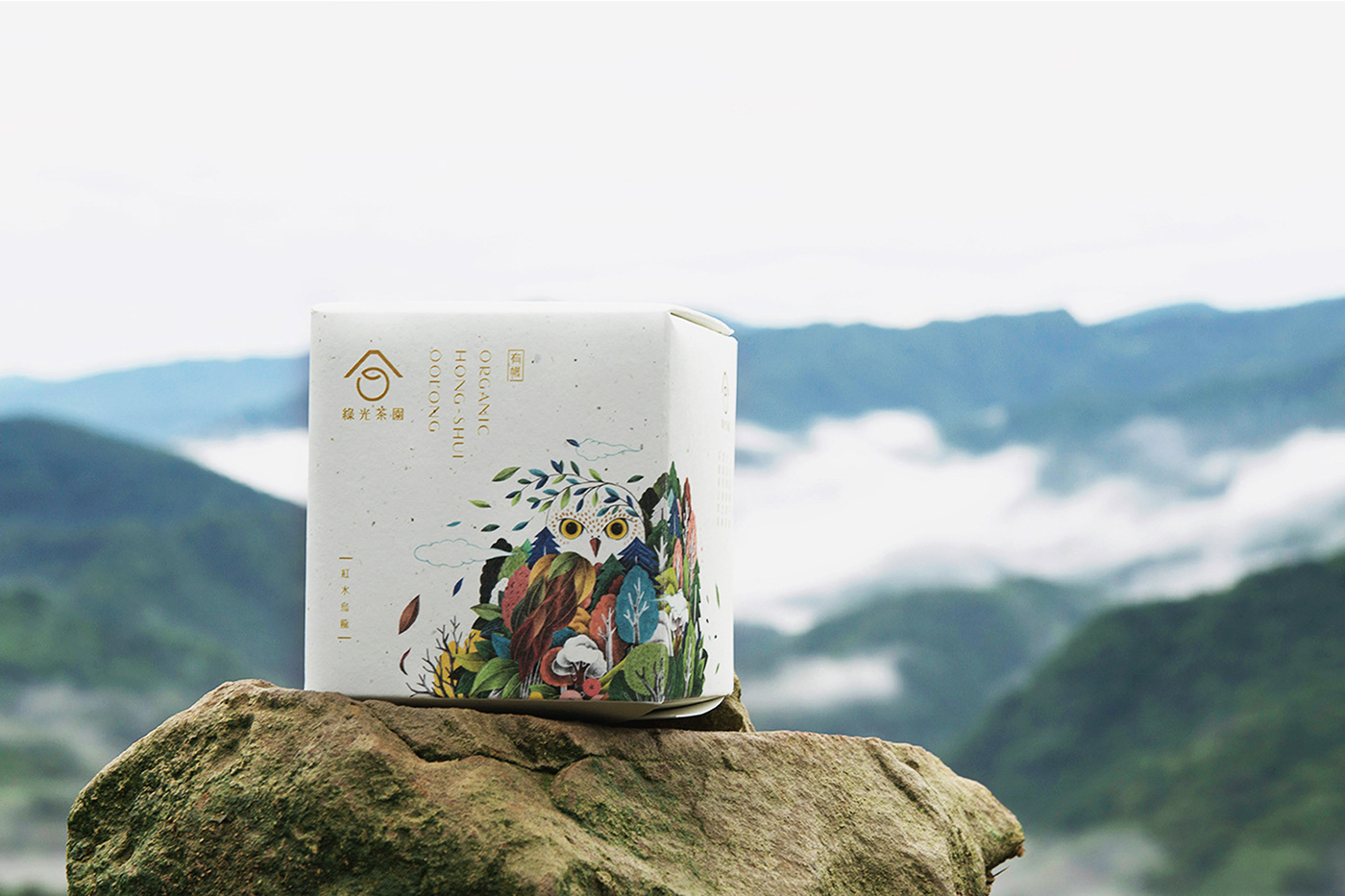 Eco-friendly organic tea Green Light Tea Garden onebook design 綠光茶園-環保有機茶 中國包裝之星 金點設計獎 MUSE DESIGN AWARDS a design awards 2021 TAIWAN TOP STAR 中華設計獎