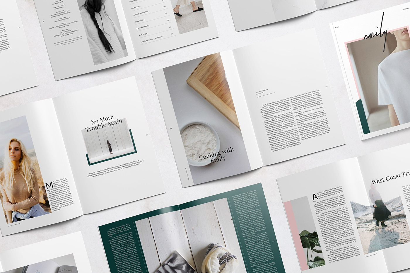 editorial print magazine template InDesign journal design Layout portfolio adobeawards