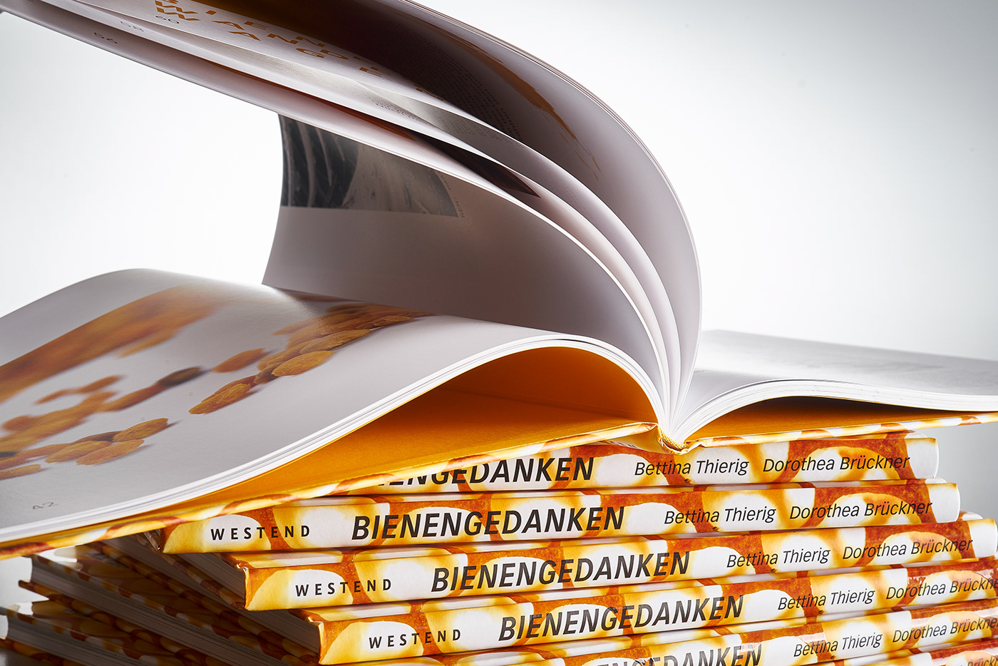 book design cover Layout print honey bee Bienen Buchgestaltung Covergestaltung satz
