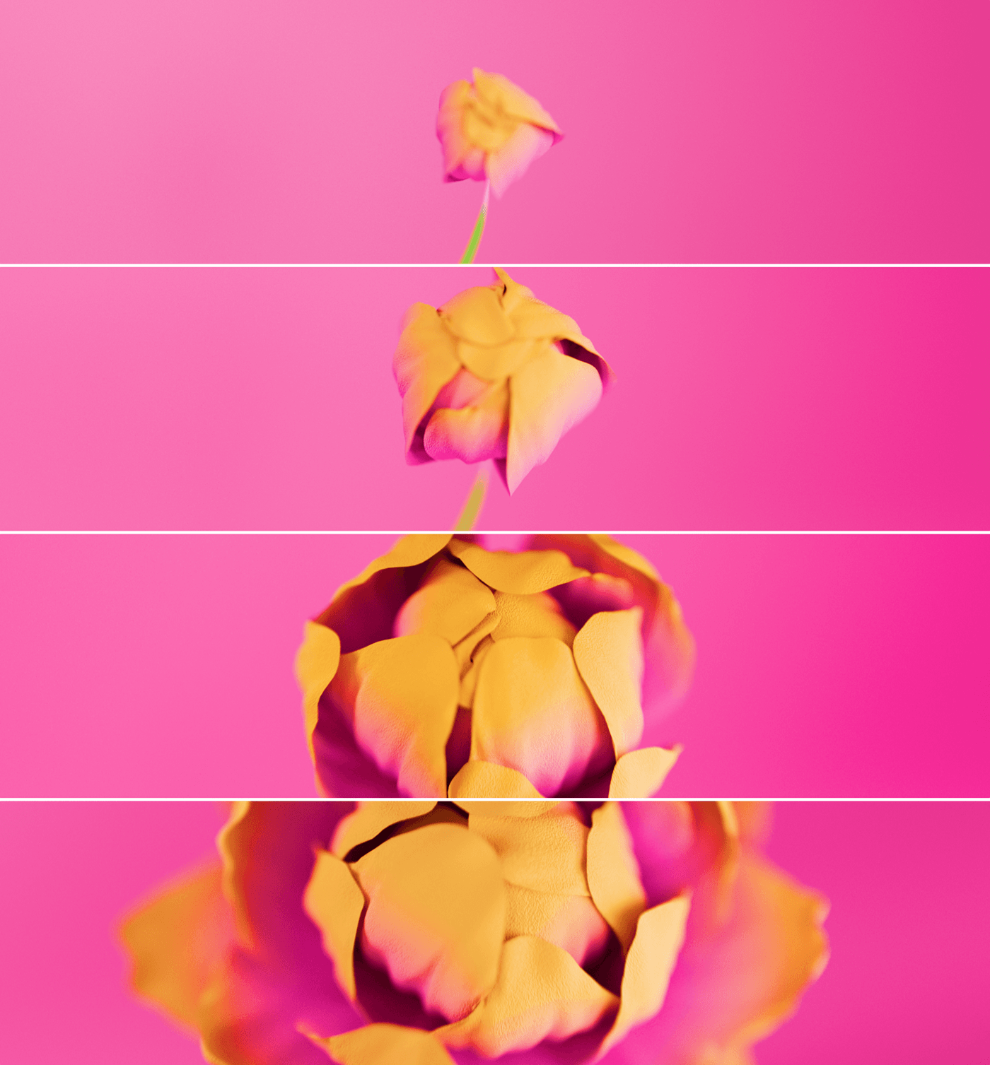 Guam 3D motion graphics  motion design motion Flowers 3D flower blender 3d modeling Render