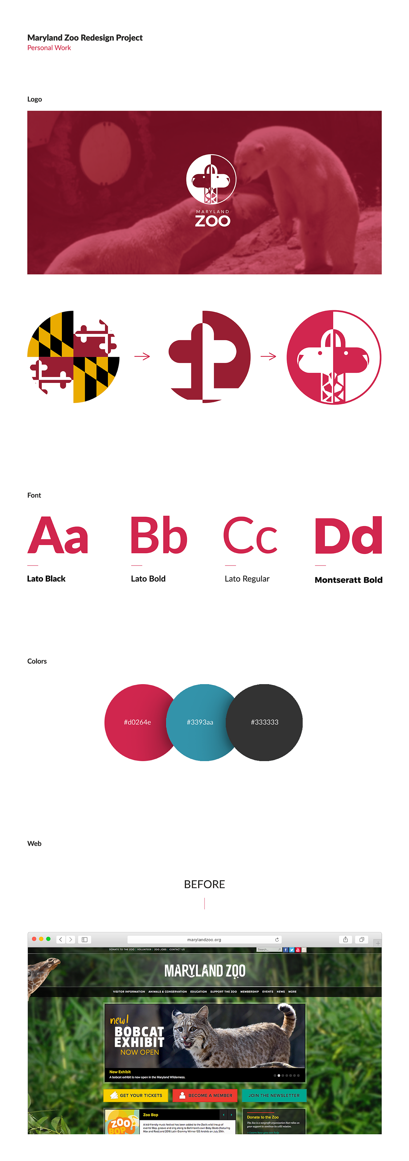 branding  graphic design  Web Design 