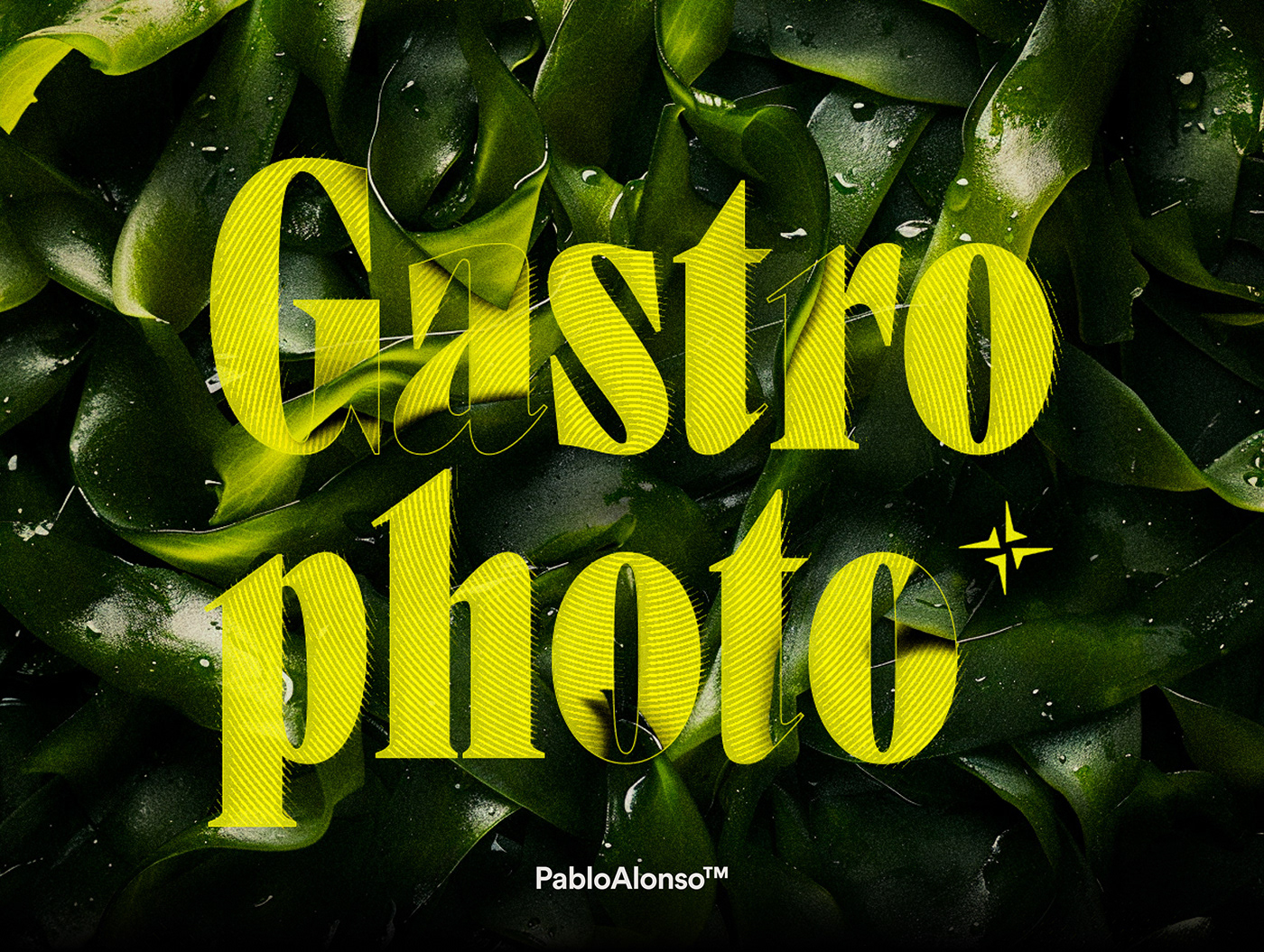 Food  Photography  photographer gastronomy Culinary cuisine identity food design logo Gastrophoto