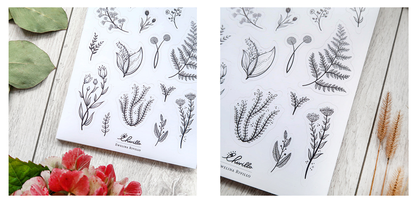 Drawing  botanical Sticker Design ILLUSTRATION  inkwork ipadproart procreatedrawing