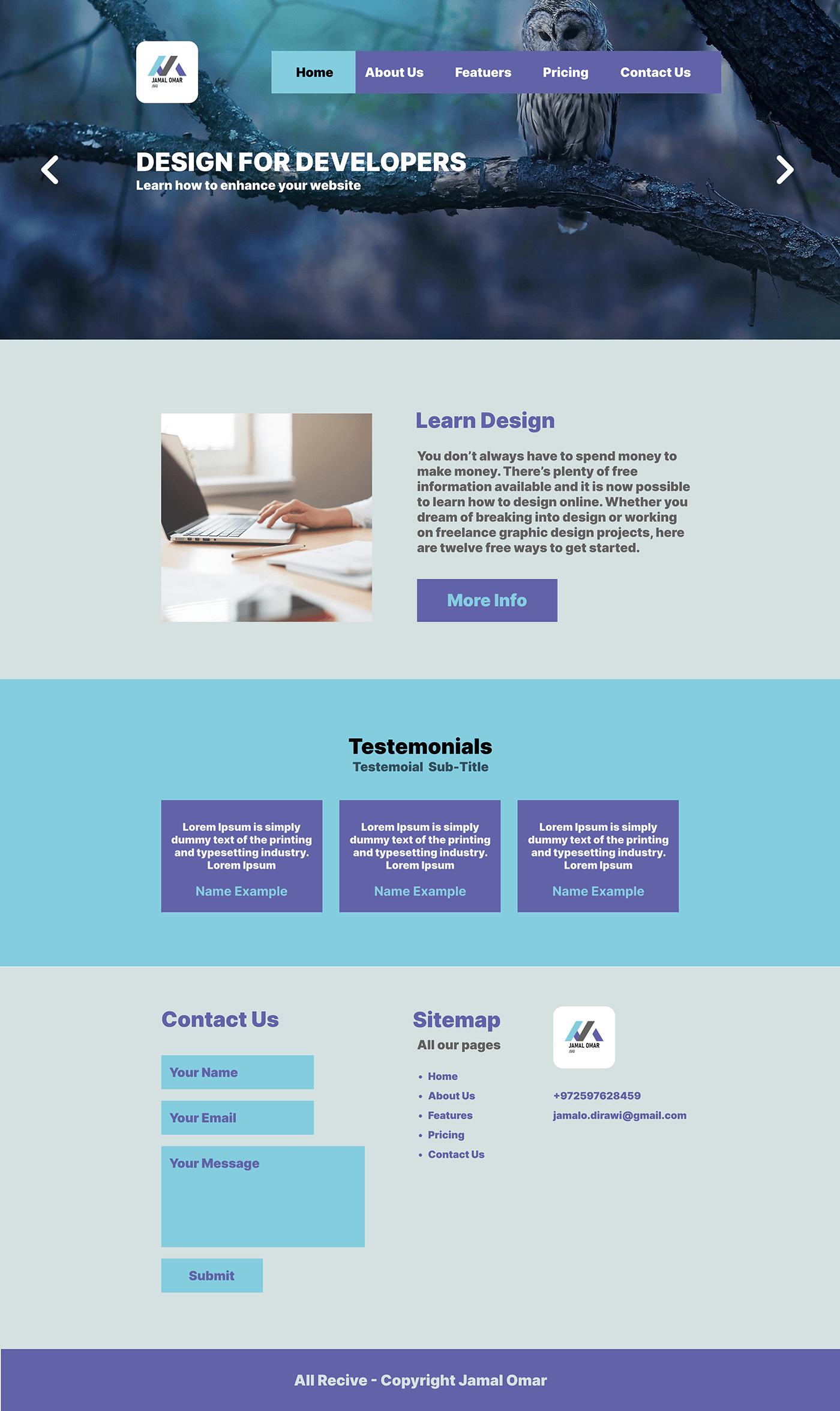 Website Web Design  UI/UX ui design user interface xD