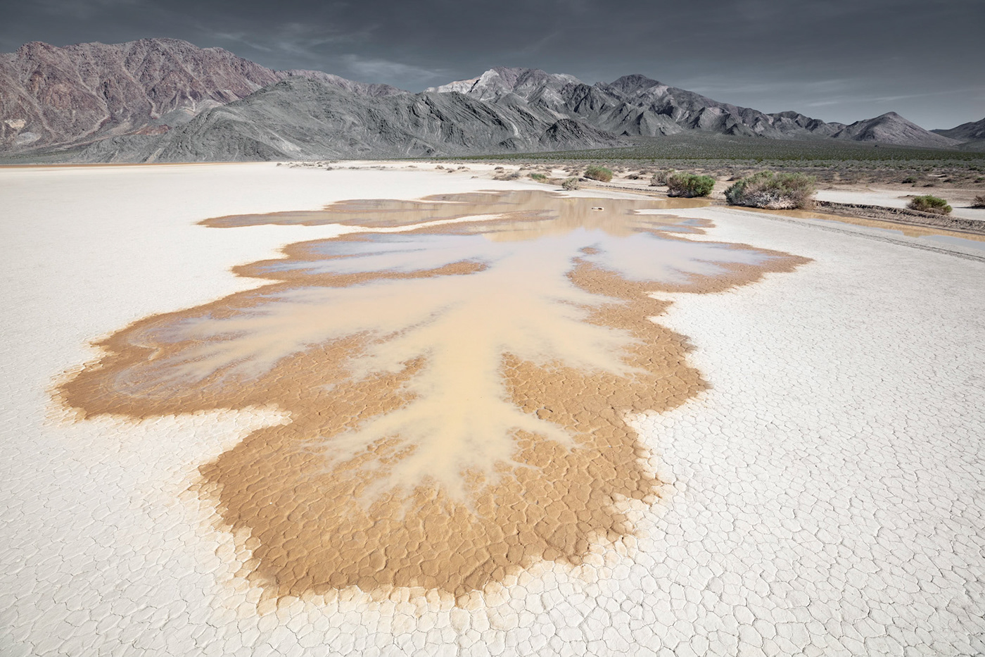 artists palette badwater basin Death Valley Golden Canyon Mesquite Sand Dunes Mosaic Canyon Sidewinder Snake Twenty Mule Team Ubehebe Crater zabriskie point