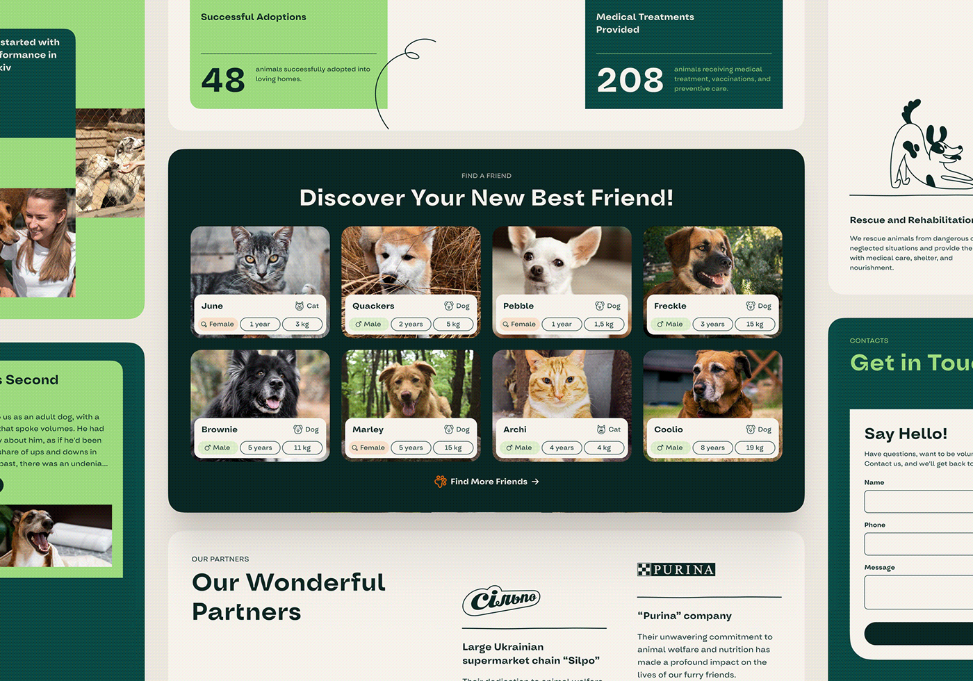 animal Web Design  Website site landing page UI/UX Figma user interface voulnteer Pet