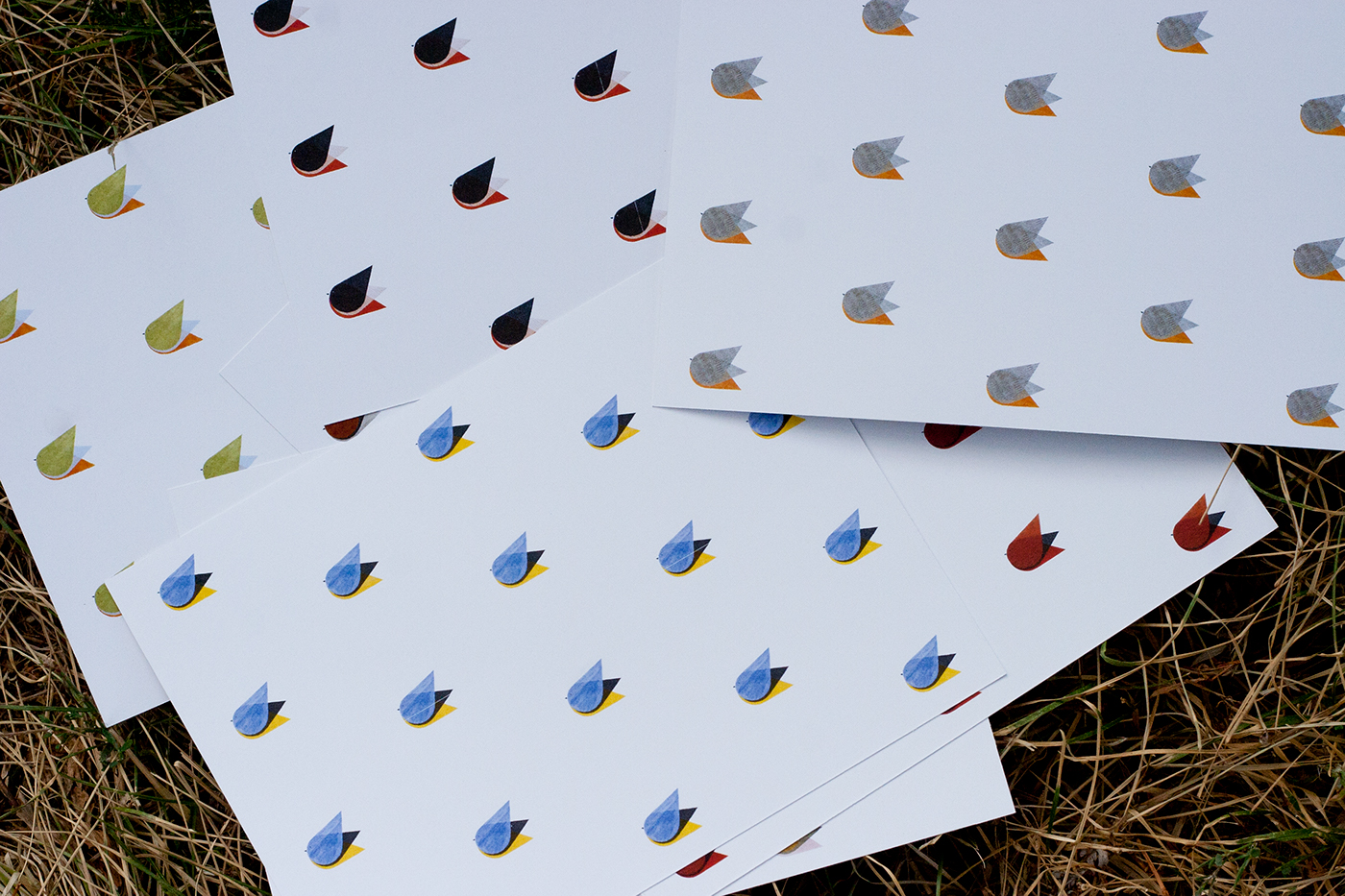 birds Education children postcard cards pattern