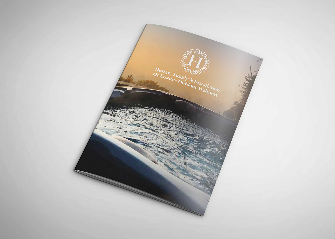 graphic design  print brochure Layout hayes Wellness