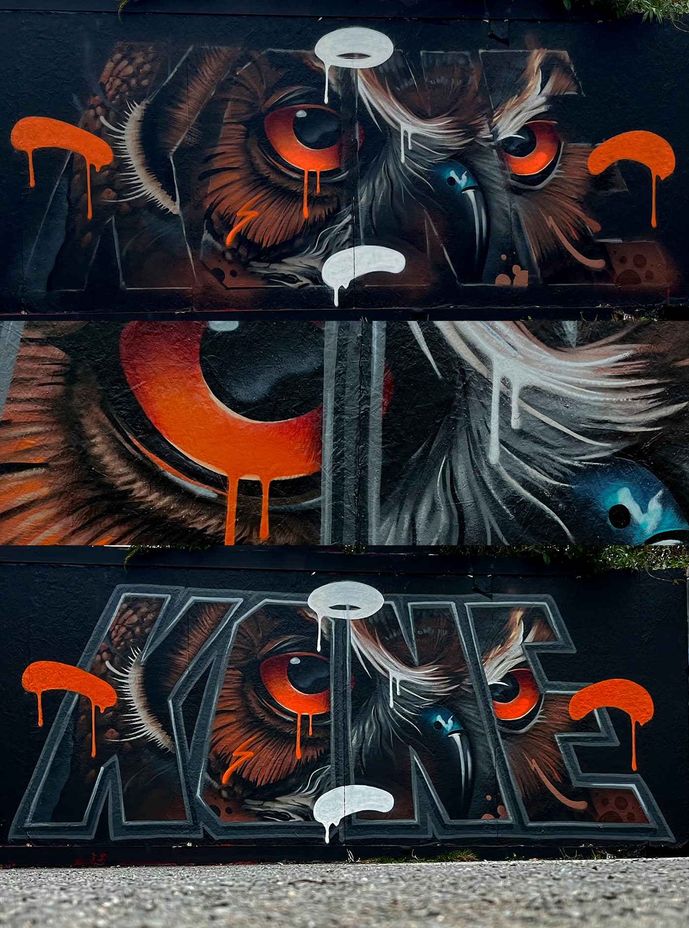 Street Art  Graffiti Mural painting   Character design  owl animals spray paint ILLUSTRATION  artwork
